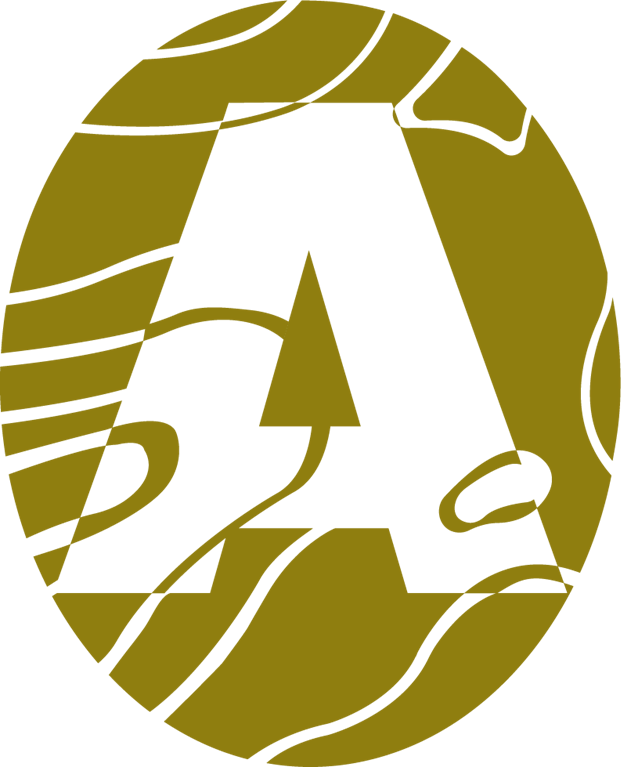 Aliwen Topografía SpA